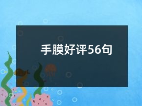 手膜好評(píng)56句
