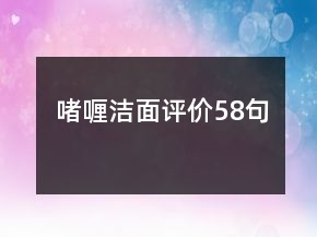 啫喱潔面評(píng)價(jià)58句