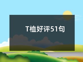 T桖好評51句