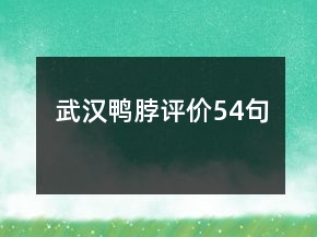 武漢鴨脖評價54句