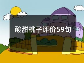 酸甜桃子評價59句