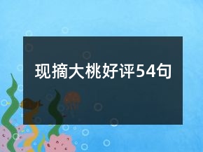 現(xiàn)摘大桃好評54句