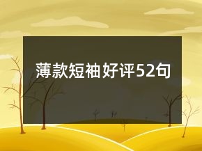 薄款短袖好評(píng)52句