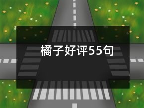 橘子好評55句