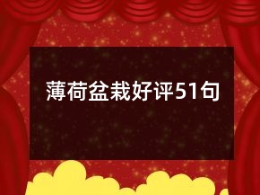 薄荷盆栽好評(píng)51句