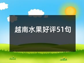 越南水果好評51句
