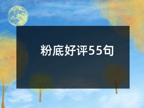 粉底好評(píng)55句