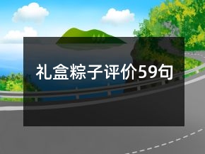 禮盒粽子評(píng)價(jià)59句