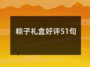 粽子禮盒好評(píng)51句