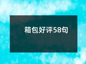 箱包好評58句