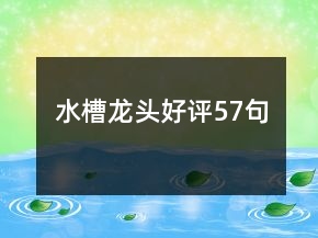 水槽龍頭好評(píng)57句