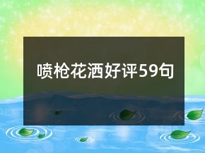 噴槍花灑好評(píng)59句