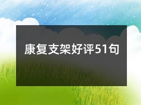 康復支架好評51句