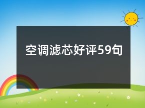 空調(diào)濾芯好評59句