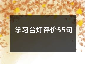 學(xué)習(xí)臺燈評價55句