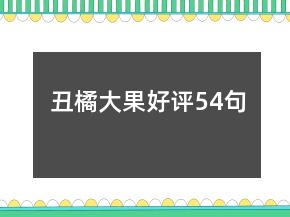丑橘大果好評54句