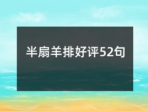 半扇羊排好評(píng)52句