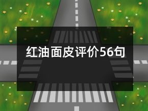 紅油面皮評(píng)價(jià)56句