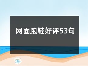 網(wǎng)面跑鞋好評53句