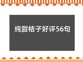 純甜桔子好評(píng)56句