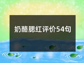 奶酪腮紅評價54句