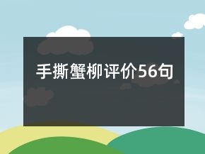 手撕蟹柳評價(jià)56句