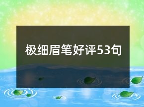 極細(xì)眉筆好評53句