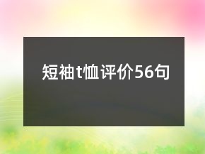 短袖t恤評價(jià)56句
