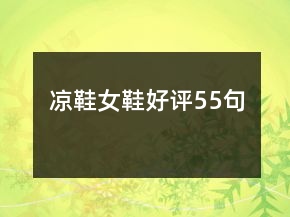 涼鞋女鞋好評(píng)55句
