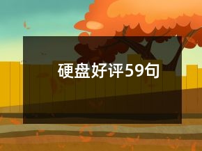 硬盤好評(píng)59句