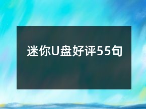 迷你U盤好評55句