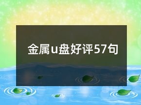 金屬u盤好評57句