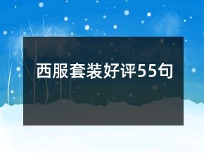 西服套裝好評55句