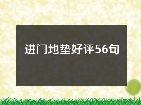 進(jìn)門地墊好評(píng)56句