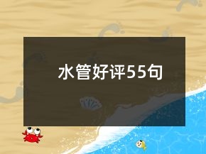 水管好評55句