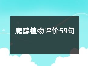 爬藤植物評價59句