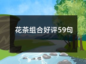 花茶組合好評(píng)59句