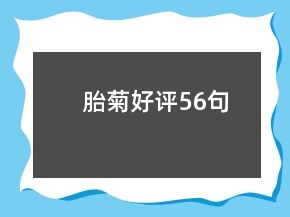 胎菊好評56句