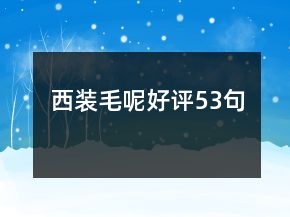 西裝毛呢好評53句