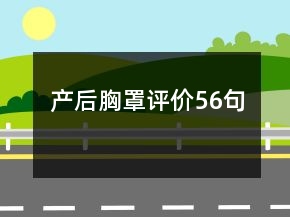 產(chǎn)后胸罩評價56句