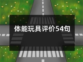 體能玩具評(píng)價(jià)54句