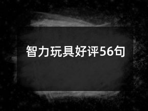 智力玩具好評(píng)56句