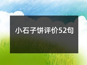 小石子餅評(píng)價(jià)52句
