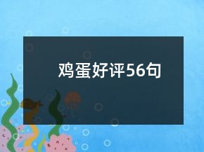雞蛋好評56句