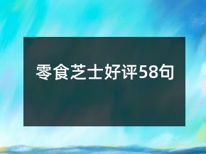零食芝士好評58句
