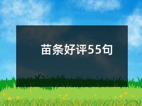 苗條好評55句