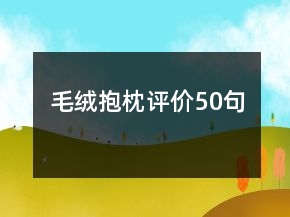 毛絨抱枕評價50句