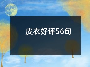 皮衣好評56句