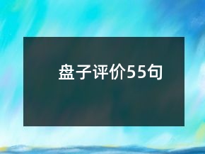 盤(pán)子評(píng)價(jià)55句