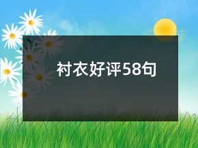 襯衣好評(píng)58句